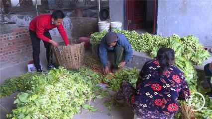 江安:“農(nóng)超”對接疏通堵點 助力產(chǎn)品銷售