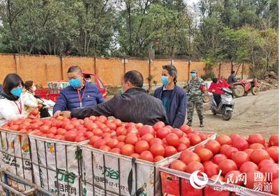 防疫情保運力 攀枝花米易建立高效機(jī)制暢通“物資線”